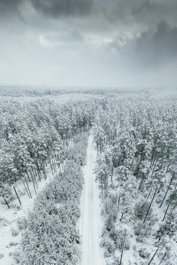 Snow Covered Forest Road Aerial Print 100% Australian Made Stretched Canvas Ready to Hang - 1087