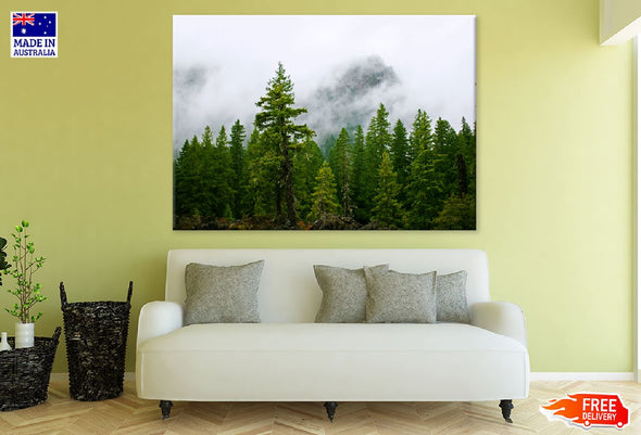 Oregon Pine Trees View Photograph Print 100% Australian Made Stretched Canvas Ready to Hang - 1765