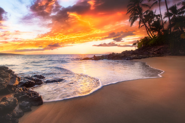 Sea & Palm Trees Sunset View Print 100% Australian Made Stretched Canvas Ready to Hang - 1435