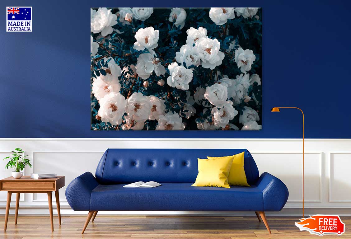 White Wild Rose Flowers View Print 100% Australian Made Stretched Canvas Ready to Hang - 1636