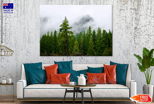 Oregon Pine Trees View Photograph Print 100% Australian Made Stretched Canvas Ready to Hang - 1765