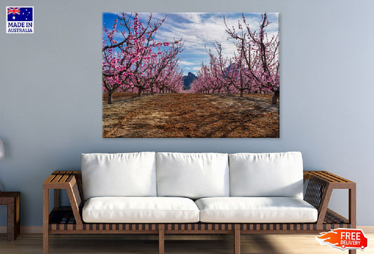 Cherry Blossom Trees Pathway View Print 100% Australian Made Stretched Canvas Ready to Hang - 1768