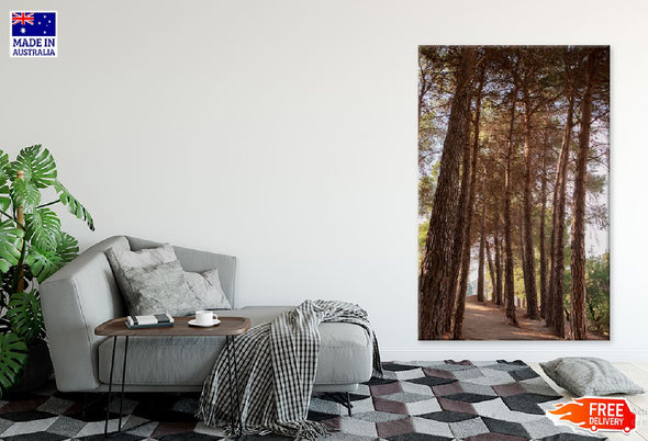 Tall Trees Forest View Photograph Print 100% Australian Made Stretched Canvas Ready to Hang - 1090