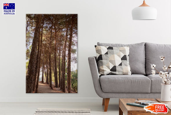 Tall Trees Forest View Photograph Print 100% Australian Made Stretched Canvas Ready to Hang - 1090