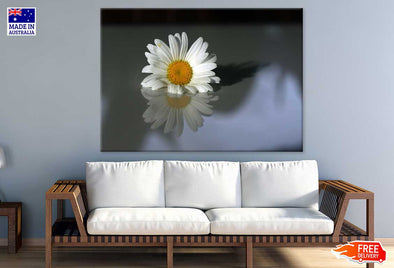 White Daisy Flower Reflection Print 100% Australian Made Stretched Canvas Ready to Hang - 1640