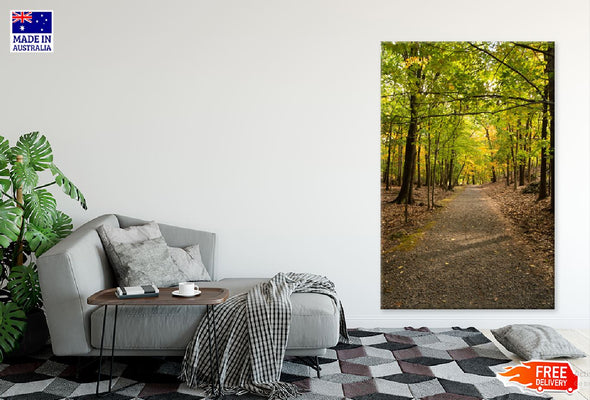 Footpath Along with Autumn Trees Print 100% Australian Made Stretched Canvas Ready to Hang - 1091