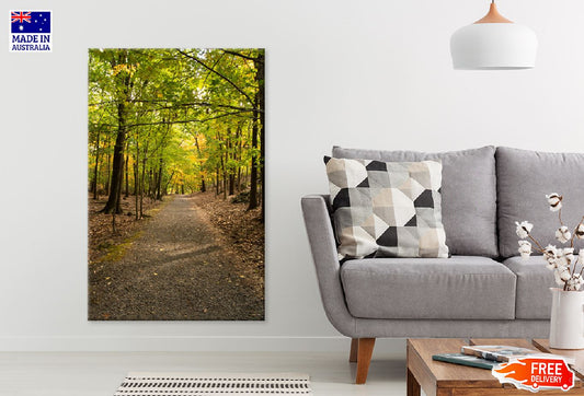 Footpath Along with Autumn Trees Print 100% Australian Made Stretched Canvas Ready to Hang - 1091