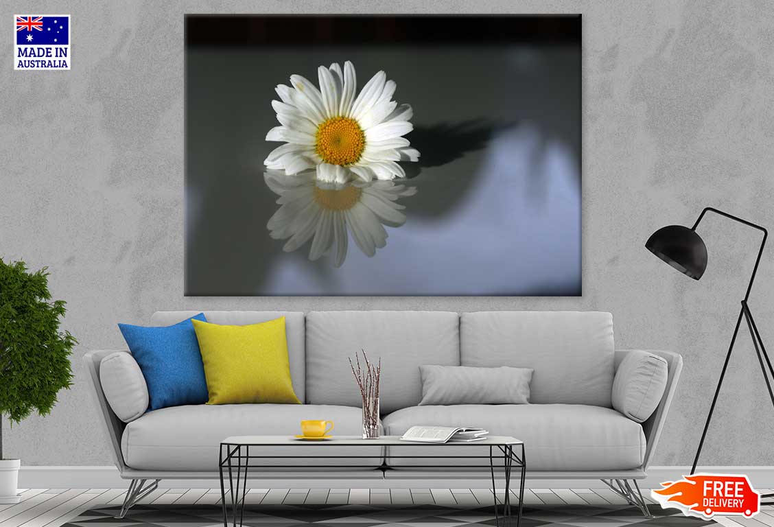 White Daisy Flower Reflection Print 100% Australian Made Stretched Canvas Ready to Hang - 1640