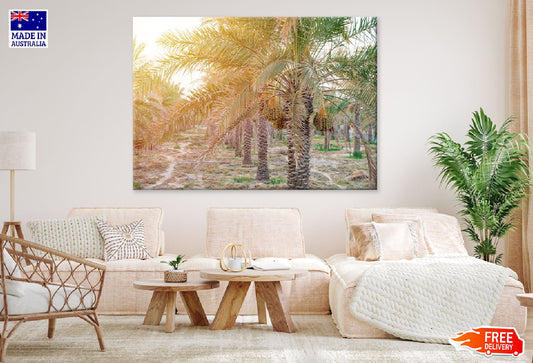 Date Trees Pathway Sunset View Print 100% Australian Made Stretched Canvas Ready to Hang - 1769