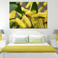 Acacia longifolia Plant View Print 100% Australian Made Stretched Canvas Ready to Hang - 1559