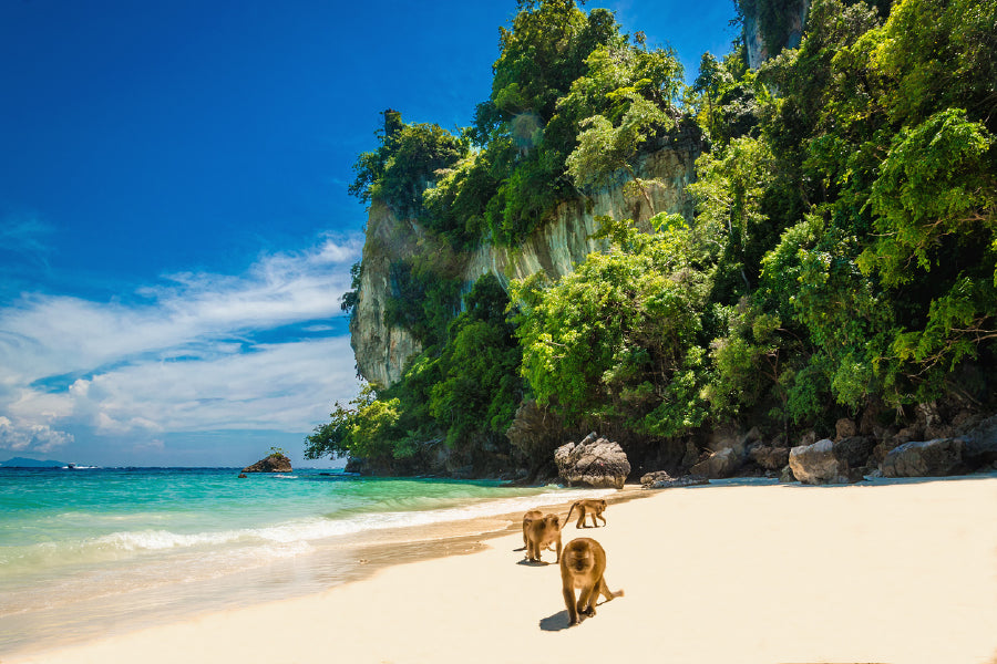 Monkey Beach View Phi Phi Islands Print 100% Australian Made Stretched Canvas Ready to Hang - 1358