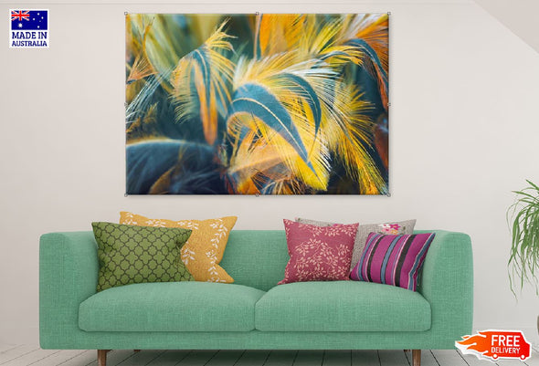 Blue & Yellow Feathers Photograph Print 100% Australian Made Stretched Canvas Ready to Hang - 1891