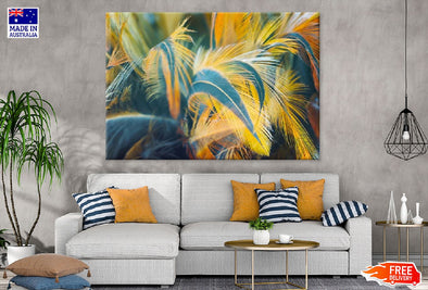 Blue & Yellow Feathers Photograph Print 100% Australian Made Stretched Canvas Ready to Hang - 1891