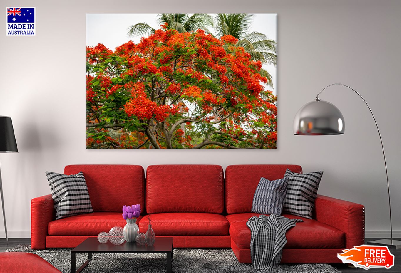 Royal Poinciana Tree Photograph Print 100% Australian Made Stretched Canvas Ready to Hang - 1770