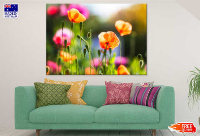 Orange Poppy Flowers Plant View Print 100% Australian Made Stretched Canvas Ready to Hang - 1642