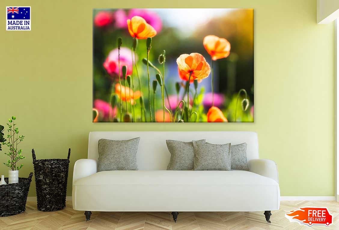 Orange Poppy Flowers Plant View Print 100% Australian Made Stretched Canvas Ready to Hang - 1642