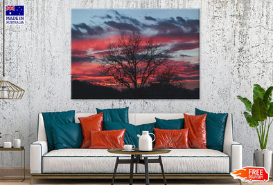 Dead Tree & Red Sky Photograph Print 100% Australian Made Stretched Canvas Ready to Hang - 1772