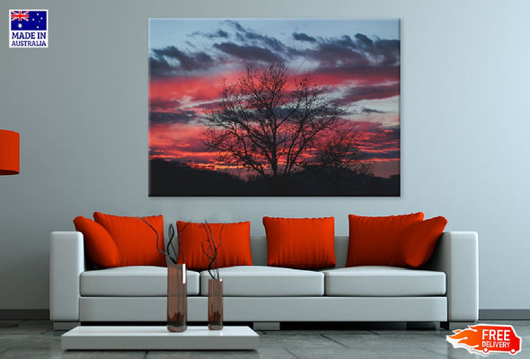 Dead Tree & Red Sky Photograph Print 100% Australian Made Stretched Canvas Ready to Hang - 1772