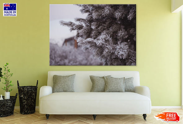 Snow Covered Fir Tree Photograph Print 100% Australian Made Stretched Canvas Ready to Hang - 1773