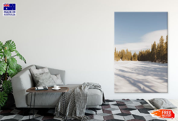 Green Pine Trees on Snow Field Print 100% Australian Made Stretched Canvas Ready to Hang - 1095