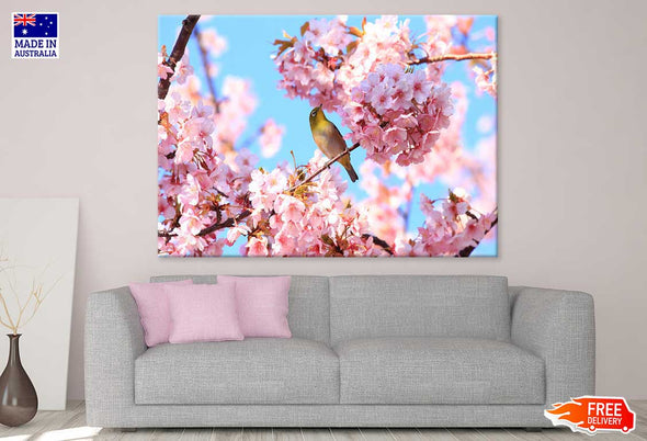 Bird on Pink Cherry Flower Tree Print 100% Australian Made Stretched Canvas Ready to Hang - 1645