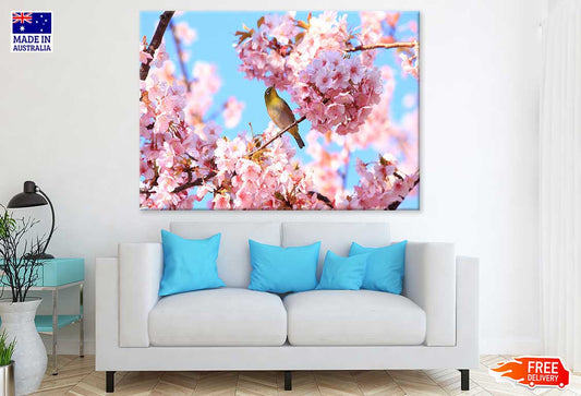 Bird on Pink Cherry Flower Tree Print 100% Australian Made Stretched Canvas Ready to Hang - 1645