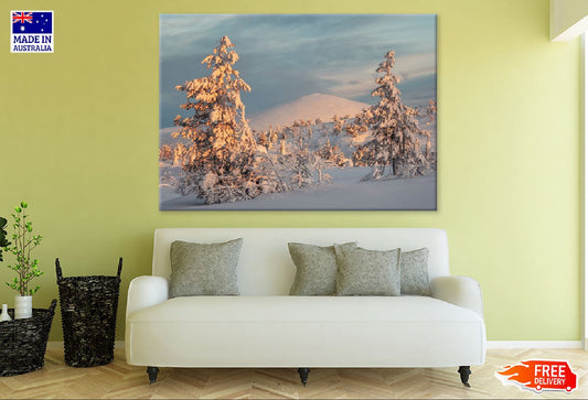 Snow Covered Fir Trees Sunset Print 100% Australian Made Stretched Canvas Ready to Hang - 1774