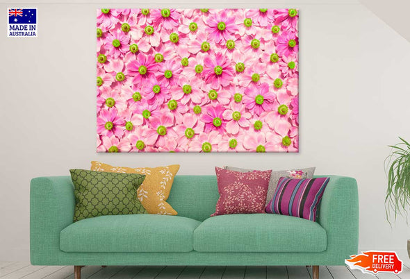 Hot Pink Flowers Aerial View Print 100% Australian Made Stretched Canvas Ready to Hang - 1646