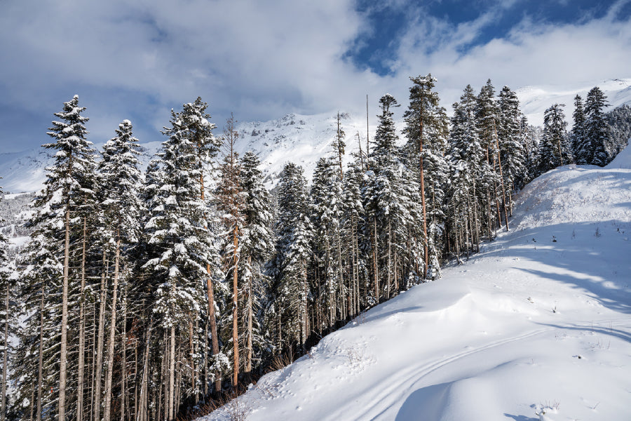 Snow Covered Trees on Mountain Print 100% Australian Made Stretched Canvas Ready to Hang - 1775