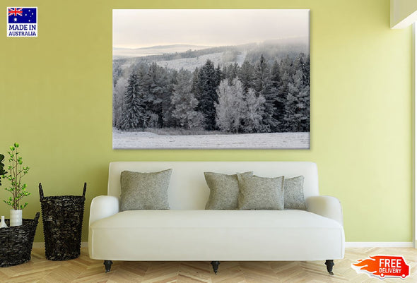 Winter Frozen Trees Photograph Print 100% Australian Made Stretched Canvas Ready to Hang - 1776