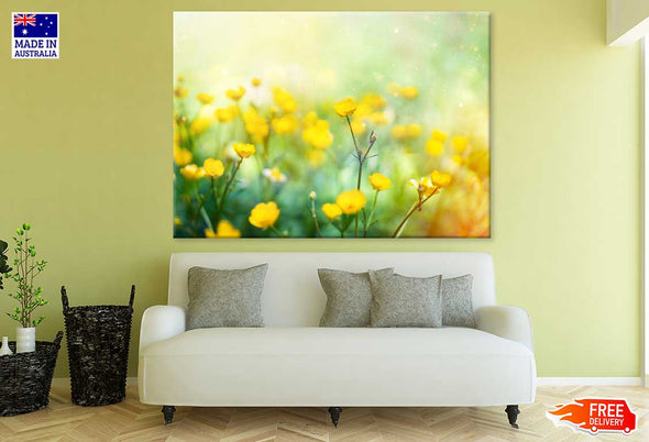 Buttercup Flower Field Photograph Print 100% Australian Made Stretched Canvas Ready to Hang - 1647