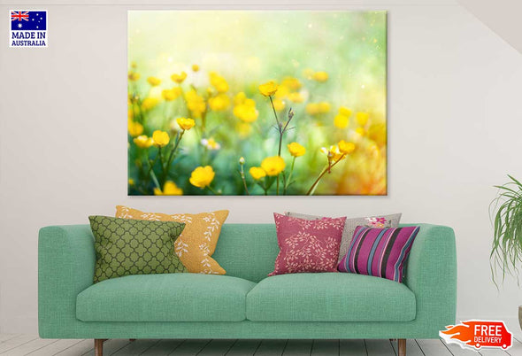 Buttercup Flower Field Photograph Print 100% Australian Made Stretched Canvas Ready to Hang - 1647