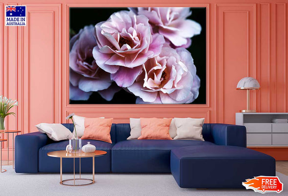 Drum Rose Flower Closeup View Print 100% Australian Made Stretched Canvas Ready to Hang - 1648