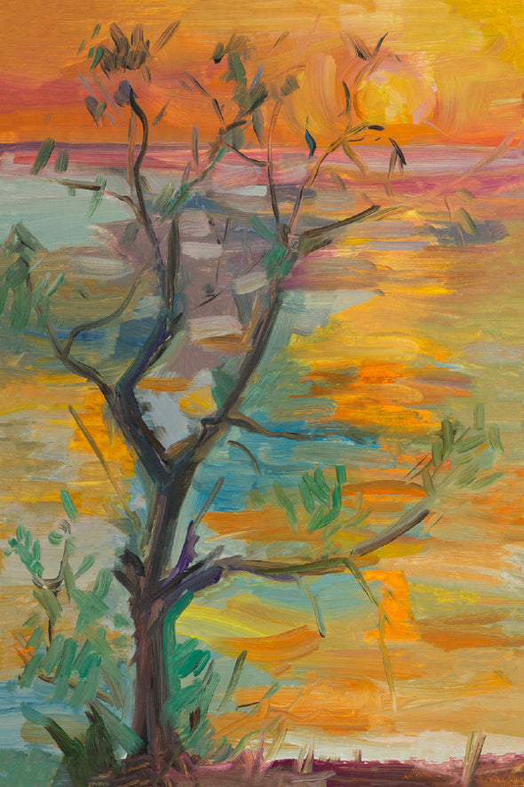 Tree with Sunset Oil Painting Print 100% Australian Made Stretched Canvas Ready to Hang - 1779