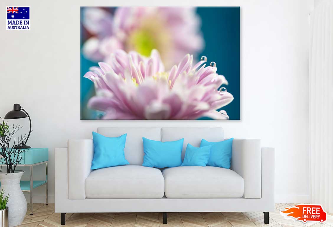 Purple Aster Flower Closeup View Print 100% Australian Made Stretched Canvas Ready to Hang - 1650