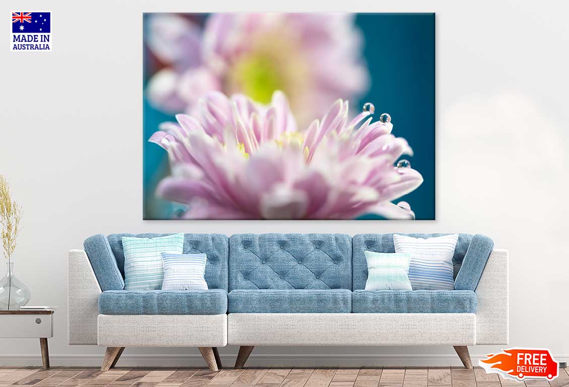 Purple Aster Flower Closeup View Print 100% Australian Made Stretched Canvas Ready to Hang - 1650