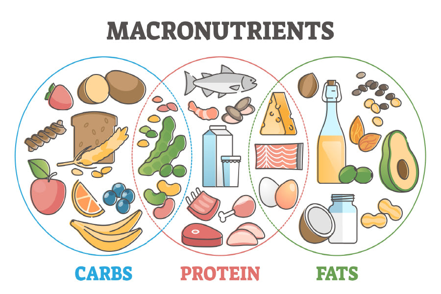 Macronutrients Diet Food Chart Print 100% Australian Made Stretched Canvas Ready to Hang - 1668